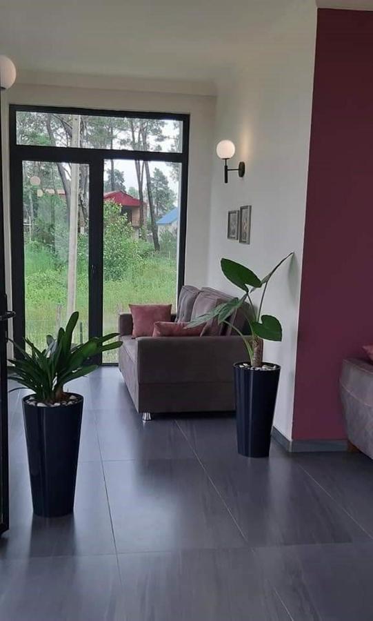 Hotel Scala Shekvetili Dış mekan fotoğraf